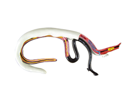 SD-092 33105Ѫ���xģ��